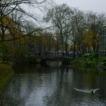 bridge over river between bare trees